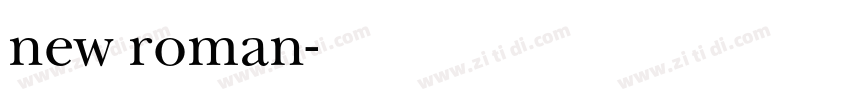 new roman字体转换